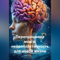 . Перепрошивка мозга: нейропластичность для новой жизни