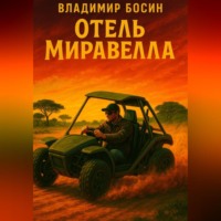 Владимир Георгиевич Босин. Отель «Миравелла»