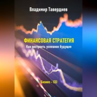 Владимир Владимирович Тавердиев. Финансовая стратегия. Как построить успешное будущее