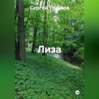 Сергей Громов. Лиза