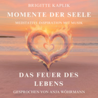 . Das Feuer des Lebens - Momente der Seele - Meditative Inspiration mit Musik, Band 3 (ungek?rzt)