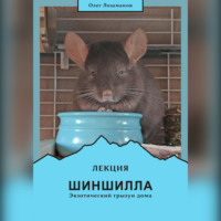 Олег Лошманов. Лекция «Шиншилла – экзотический грызун дома»