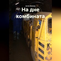 Антон Игоревич Веселов. На дне комбината