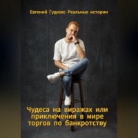 Евгений Гудков. Чудеса на виражах или приключения в мире торгов по банкротству. Реальные истории.