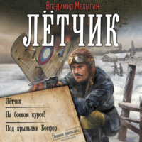 . Лётчик: Лётчик. На боевом курсе! Под крыльями Босфор