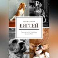 Олег Панкратов. Энциклопедия БИГЛЕЙ. Руководство для владельцев породы бигль