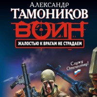 Александр Тамоников. Жалостью к врагам не страдаем