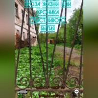 михаил никитин. Проза жизни или формула счастливого бытия