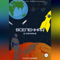 . Вселенная в кармане. Книга первая
