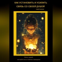 Сергей Сошников. Как установить и усилить связь со своей Душой. Жизнь с душой: как пройти путь от новичка к проводнику