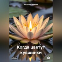 Владислав Фомичев. Когда цветут кувшинки