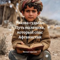 . Указка судьбы: Путь мальчика, который спас Афганистан