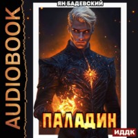 . Инквизитор. Книга 5. Паладин