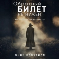 Энди Кроквилл. Обратный билет не нужен