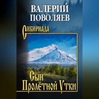 Валерий Поволяев. Сын Пролётной Утки