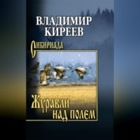 Владимир Васильевич Киреев. Журавли над полем
