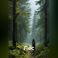 Ирина Одарчук Паули. Лес