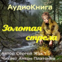 Сергей Жук. Золотая стрела