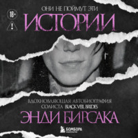 . Они не поймут эти истории: Вдохновляющая автобиография солиста Black Veil Brides Энди Бирсака