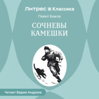 . Сочневы камешки