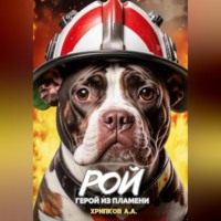 . Рой – Герой из пламени