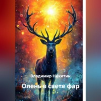 . Олень в свете фар