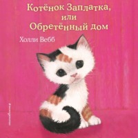 . Котёнок Заплатка, или Обретённый дом