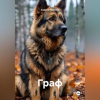 Андрей Андреевич Томилов. Граф