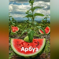 . Арбуз