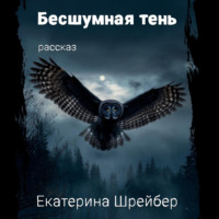 . Бесшумная тень