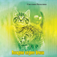 Светлана Владимировна Подылина. Похождение блудного котишки