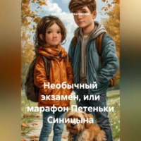 Светлана Владимировна Стрекаловская. Необычный экзамен, или марафон Петеньки Синицына
