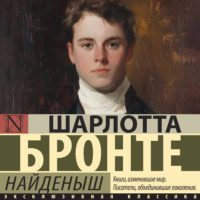 . Найденыш