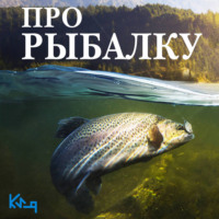 Коллектив авторов. Про рыбалку