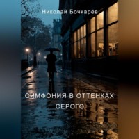 Николай Бочкарёв. Симфония в оттенках серого
