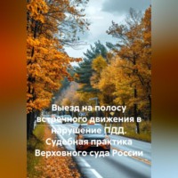 Алексей Владимирович Лезин. Выезд на полосу встречного движения в нарушение ПДД. Судебная практика Верховного суда России