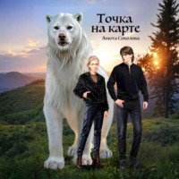 . Точка на карте