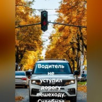 Алексей Владимирович Лезин. Водитель не уступил дорогу пешеходу. Судебная практика кассационных судов