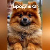 Валентин Колесников. Бродяжка