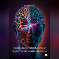 . Нейросексология: Как мозг создает возбуждение и оргазм