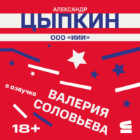 Александр Цыпкин. ООО «ИИИ»