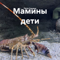 Петр Синани. Мамины дети