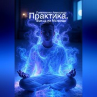Александр Иванович Литвиненко. Практика. Выход из Матрицы
