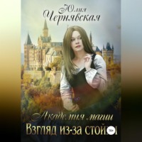 . Академия магии. Взгляд из-за стойки