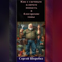 . «Как с гаечным ключом попасть в блогерские топы?»