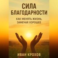 Иван Крохов. Сила благодарности: как менять жизнь, замечая хорошее