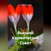 . Высший Кармический Совет