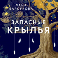 Лана Барсукова. Запасные крылья