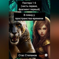 Стас Степанов. пантера: 1-6 (часть первая, фрагмент первый) В плену у пространства-времени