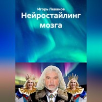Игорь Леванов. Нейростайлинг мозга